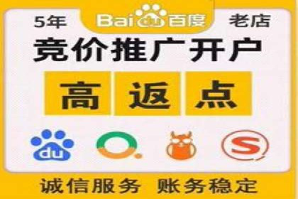 搜索引擎营销（SEM）的精准投放技巧案例